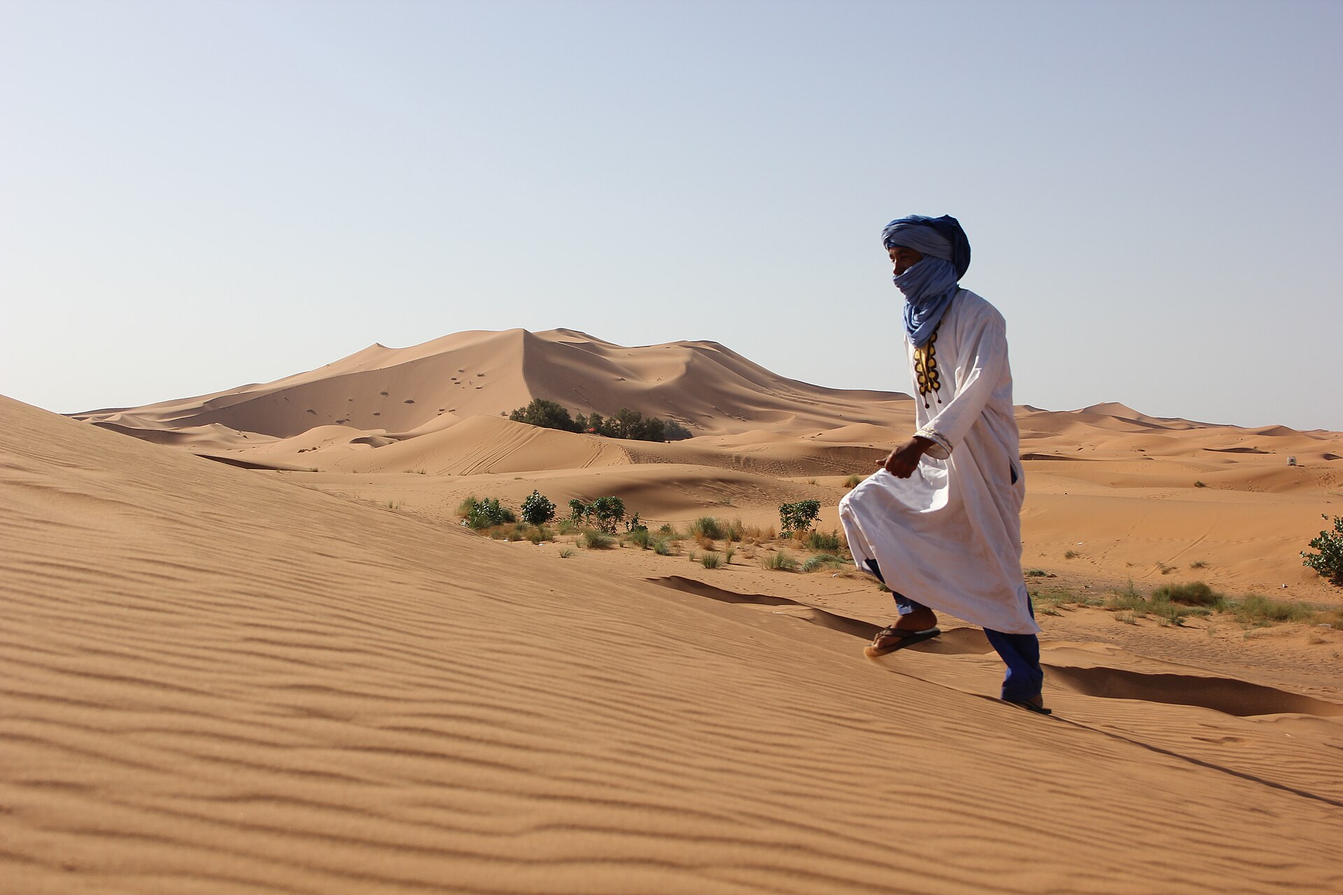 A Tuareg-dressed man walking along a golden dune ridge above a small green oasis at Erg Chebbi, near Merzouga, Morocco