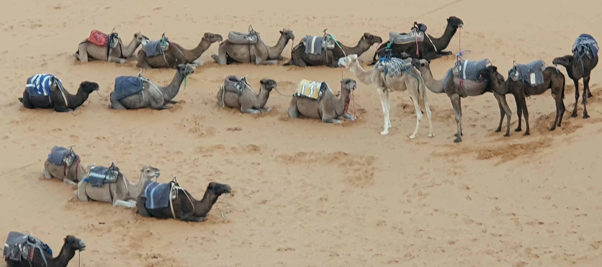 2 Days Marrakech to Zagora Desert — private multi-day tour in Morocco with a driver