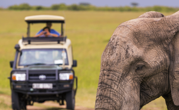 10 Days South Africa Tour