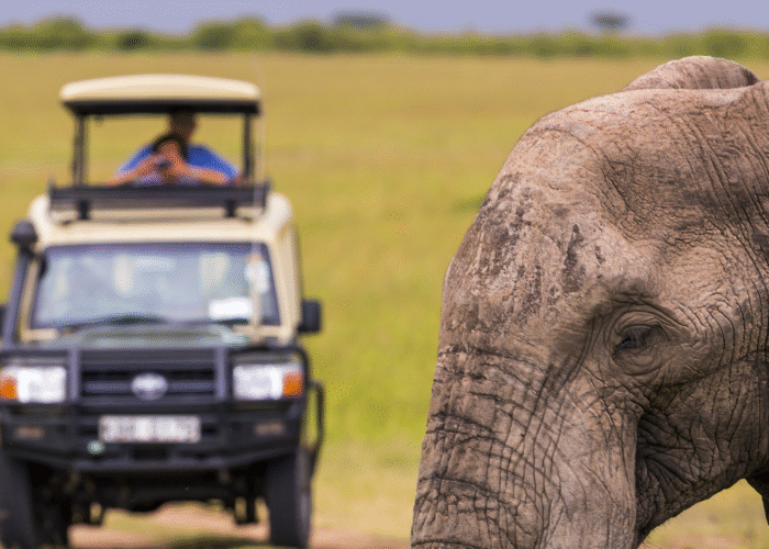 10 Days South Africa Tour