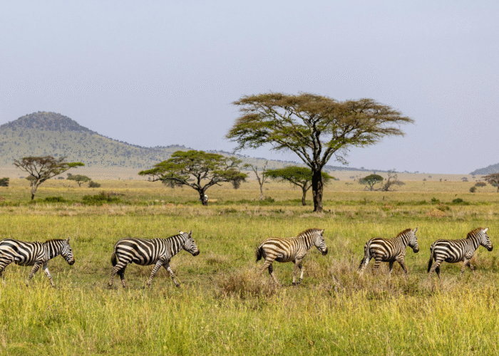 10 Days Tanzania Tour