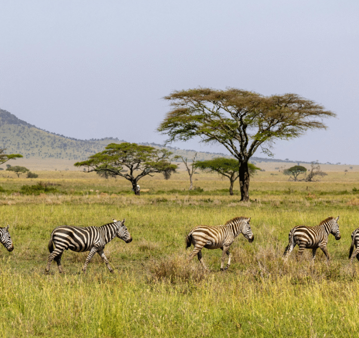 10 Days Tanzania Tour