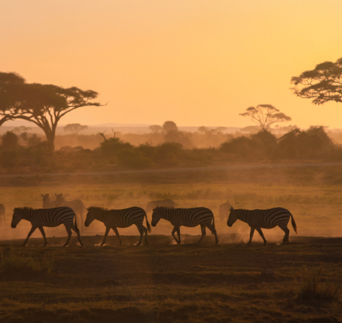 12 Days Kenya Tour