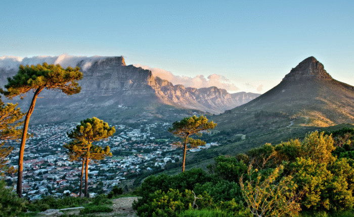 12 Days South Africa Tour