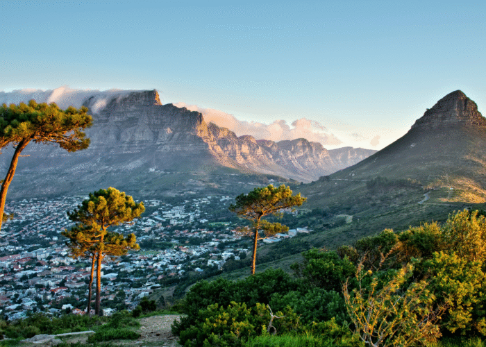 12 Days South Africa Tour