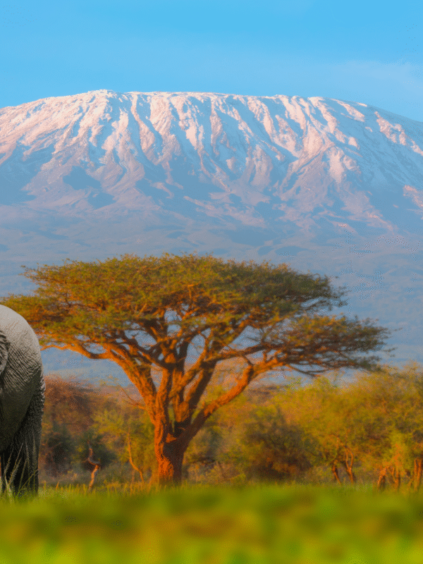 Tanzania Tours