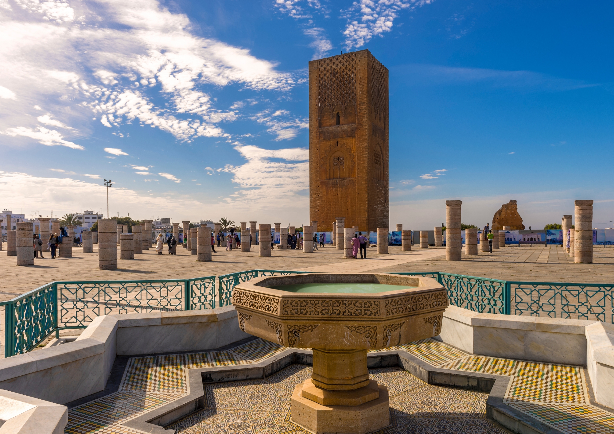 Morocco Desert Camel