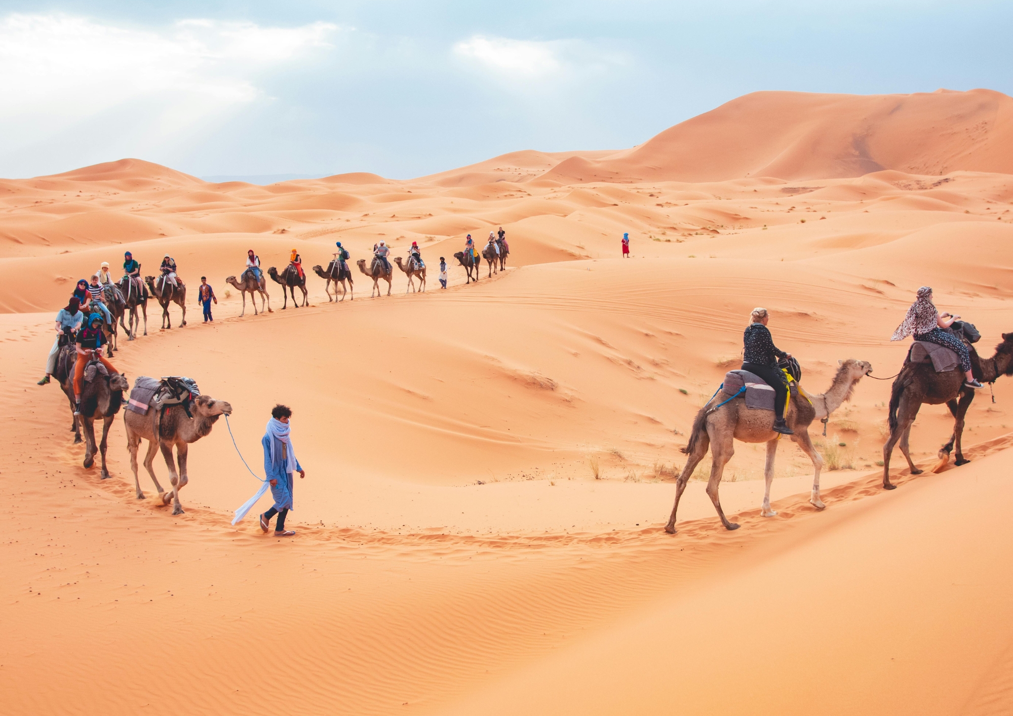 Sahara Camel Trek