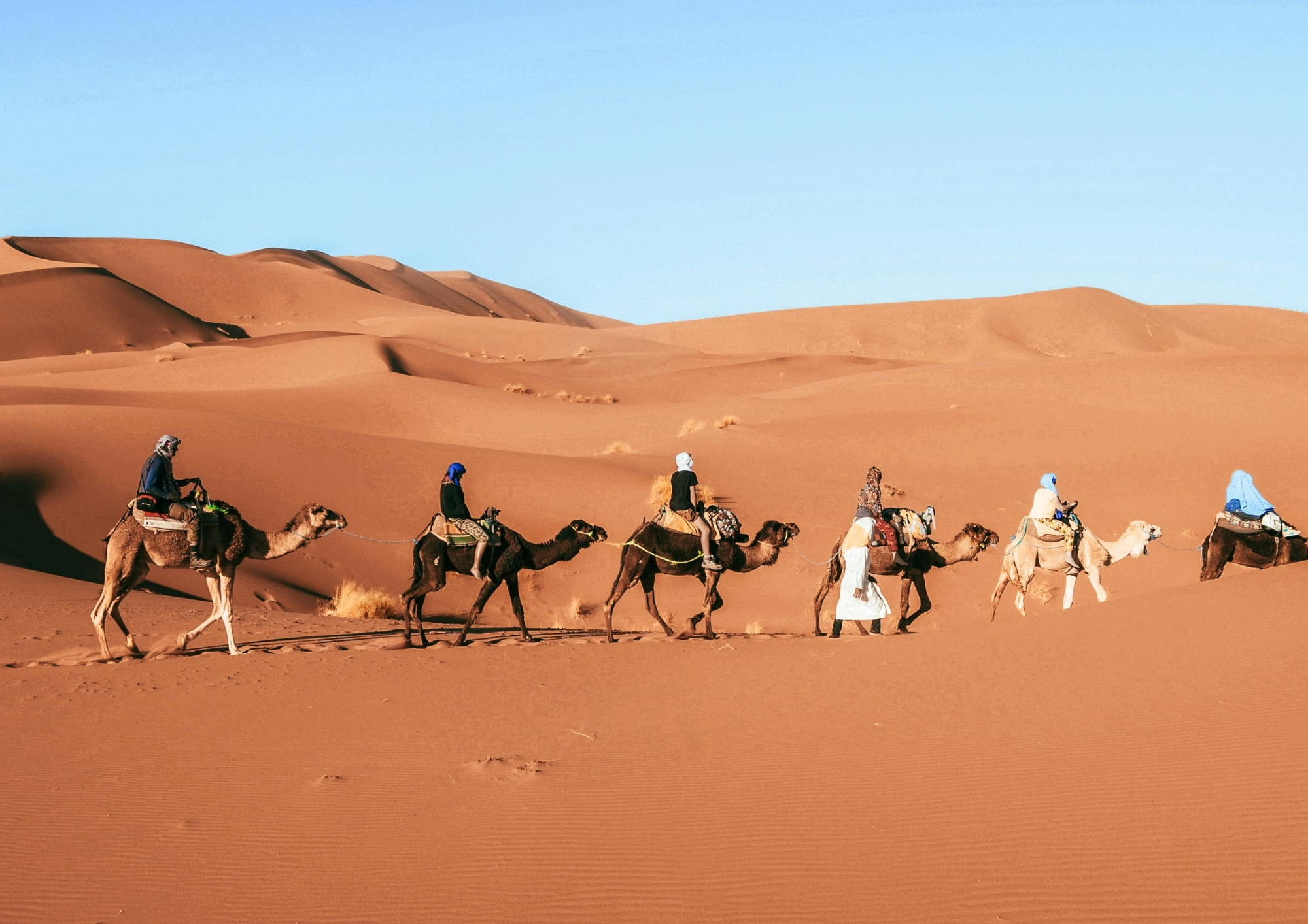 Sahara Desert Luxury