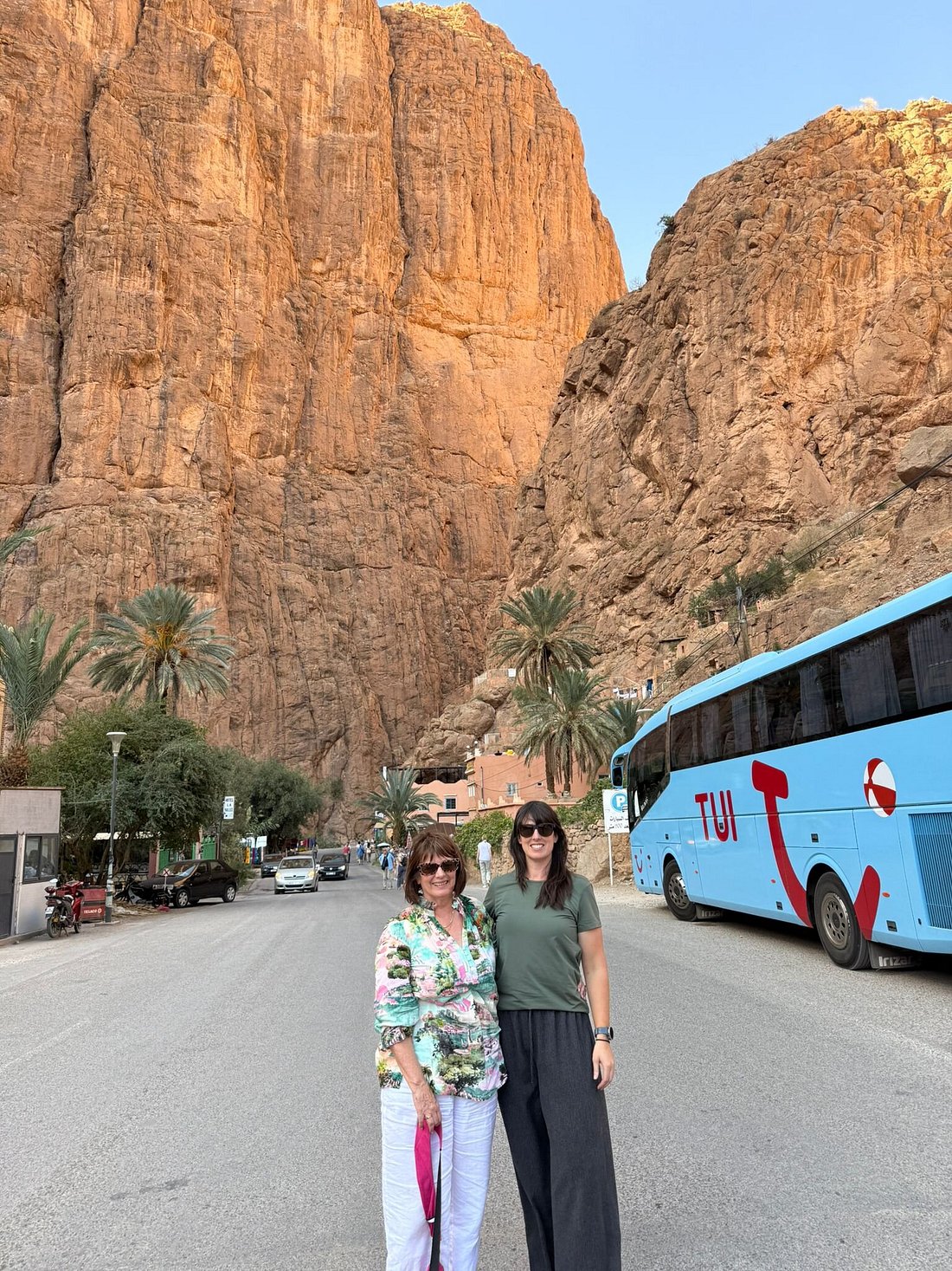 Plan your trip with Driver In Africa Agency